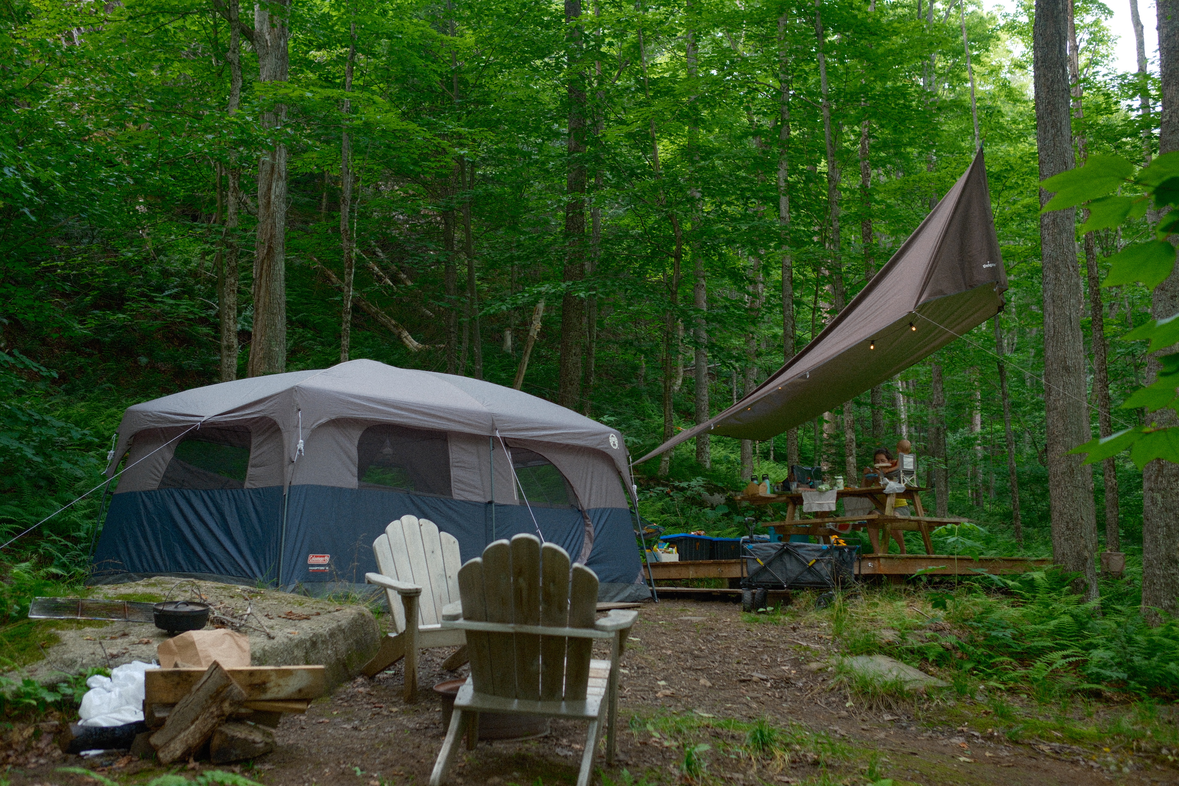 065626BE-E098-4828-A996-EC9AD5014EB1-91452-00000CFBD102CB05 1.jpg